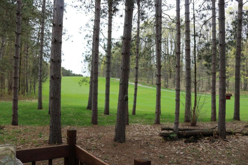 Crystal Mountain Cabin-Shuttle Pass Included! Thompsonville Exterior photo